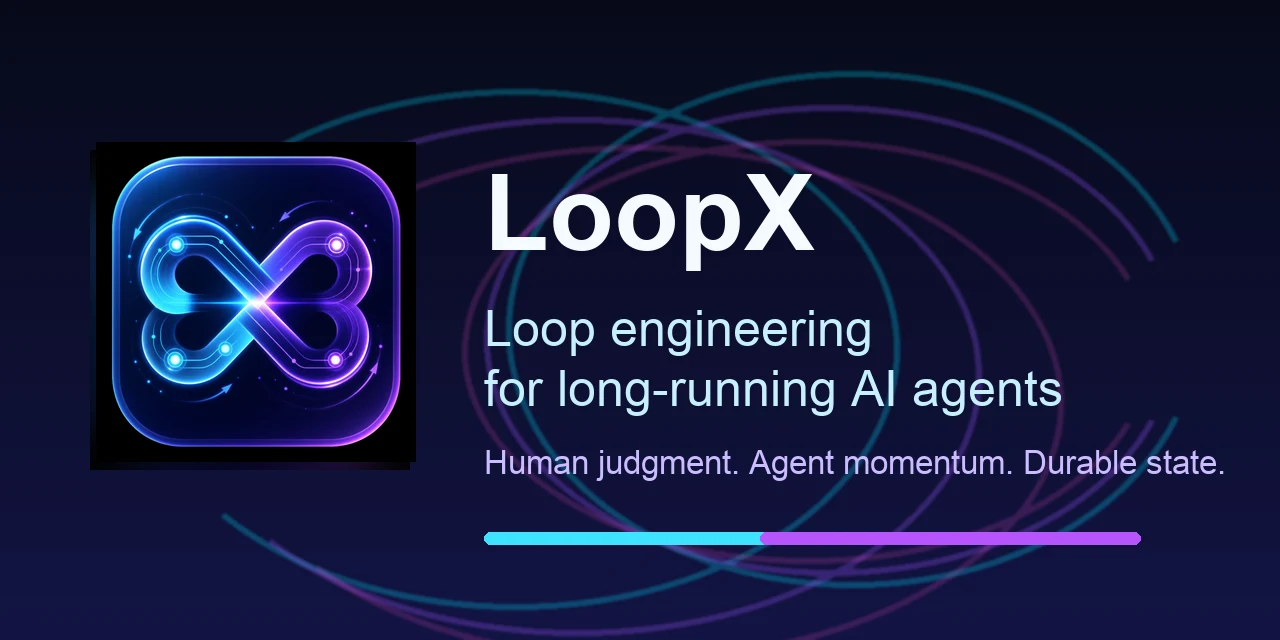 LoopX screenshot